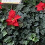 【重要】2027年11月閉館・営業終了のお知らせ