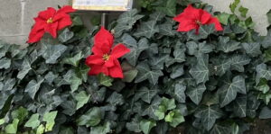 投稿についてもっと詳しく 【重要】2027年11月閉館・営業終了のお知らせ